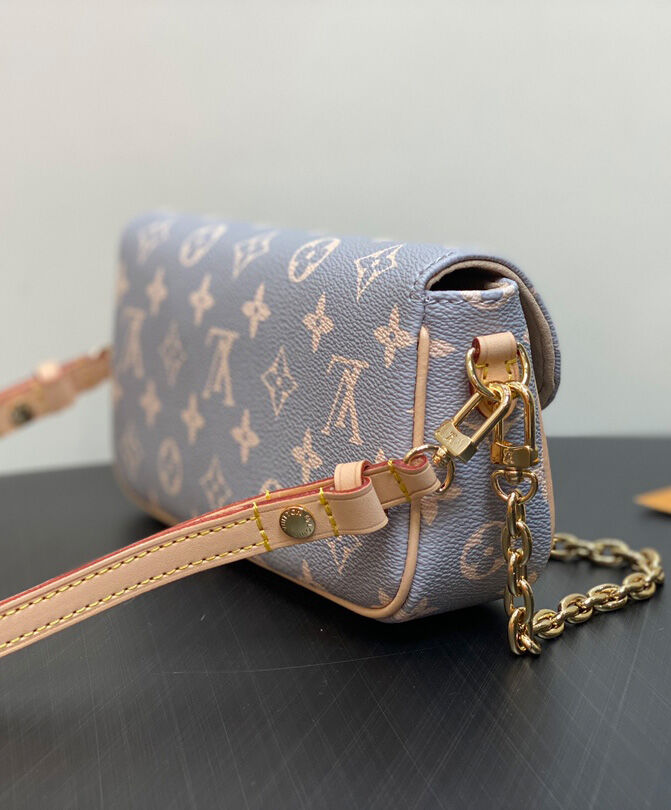 Louis Vuitton Wallet on Chain Ivy M12778 Gray